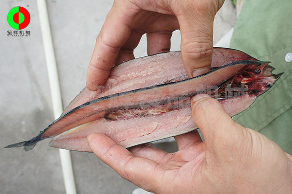 魚(yú)類開(kāi)邊機(jī)