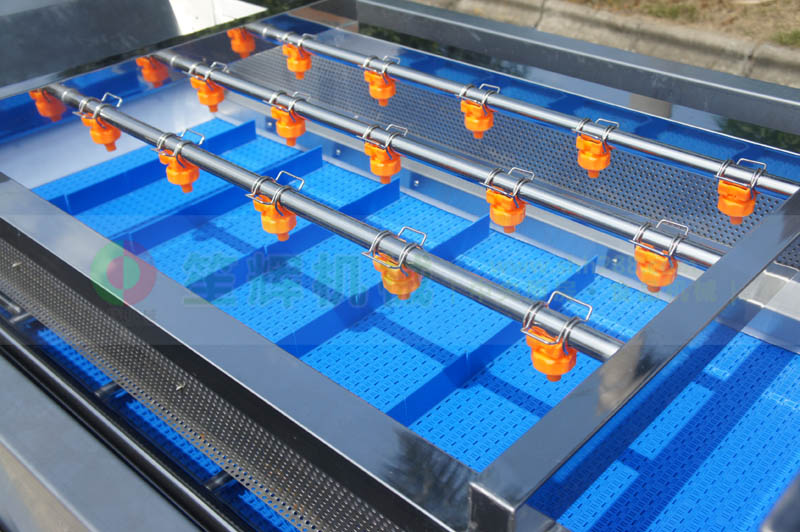 全網(wǎng)鏈輸送洗菜機(jī)