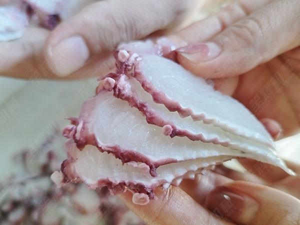 斜切魚(yú)片機(jī)