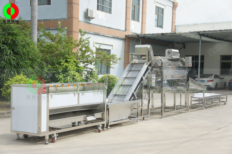 鯪魚加工生產線