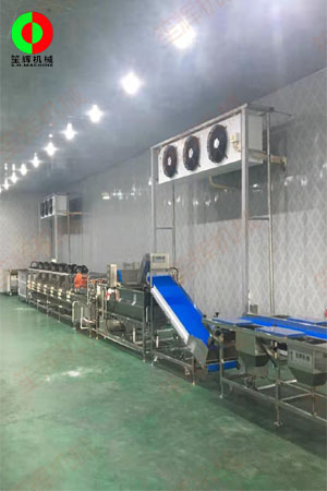 佛山客戶蔬果加工處理生產線現(xiàn)場安裝完成