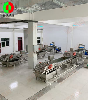 客戶現(xiàn)場兩條蔬菜清洗加工生產(chǎn)線順利安裝調(diào)試完成！