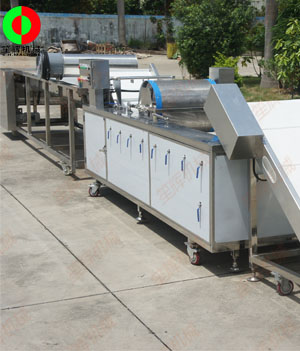 國外客戶訂制的藍莓自動清洗分選生產(chǎn)線順利生產(chǎn)完成測試中！