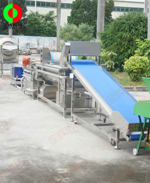 肇慶高新區(qū)本地客戶現(xiàn)場檢驗艾草處理加工生產(chǎn)線！