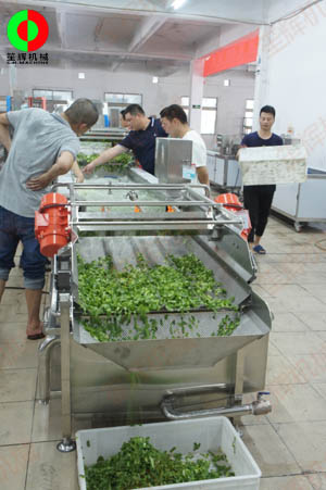 客戶親臨我司實(shí)地考察工廠及蔬果切割清洗生產(chǎn)線設(shè)備！