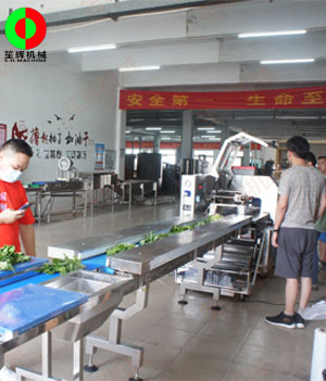 枕式蔬果包裝生產(chǎn)線,客戶現(xiàn)場測試驗收！