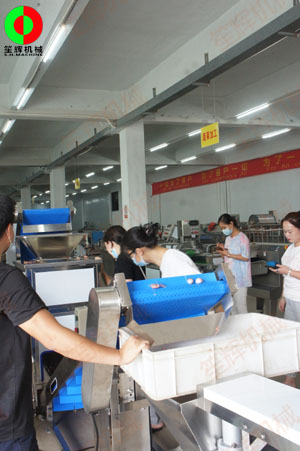 惠州客戶王小姐親臨我司測試洋蔥脫皮及切碎設(shè)備！