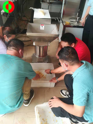 江門客戶謝先生親臨我司測(cè)試生姜清洗脫皮及打碎設(shè)備！