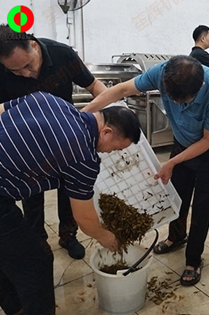 客戶(hù)來(lái)廠(chǎng)測(cè)試驗(yàn)貨果蔬清洗加工設(shè)備！