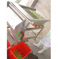 豆類脫殼機(jī)/毛豆脫殼機(jī)/豌豆毛豆脫殼機(jī)TK-800 豆類脫殼機(jī)/毛豆脫殼機(jī)/豌豆毛豆脫殼機(jī)TK-800