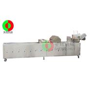 洗菜機(jī)/臭氧消毒洗菜機(jī)（帶除雜裝置）QX-42S（視頻）