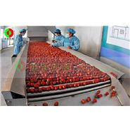 紅棗清洗烘干生產(chǎn)線 紅棗清洗烘干生產(chǎn)線