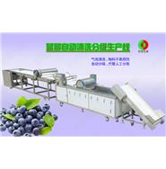 藍(lán)莓/蔬果全自動(dòng)清洗分級(jí)生產(chǎn)線
