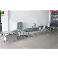 打蛋生產(chǎn)線/清洗、風(fēng)干、光檢、24頭打蛋生產(chǎn)線(視頻)