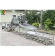 鯪魚(yú)加工生產(chǎn)線/豆豉鯪魚(yú)生產(chǎn)線/魚(yú)類加工生產(chǎn)線